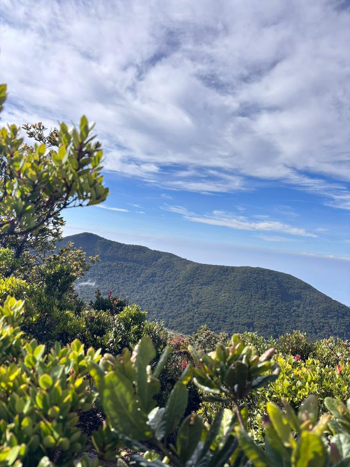 Pemandangan Punggungan Gunung